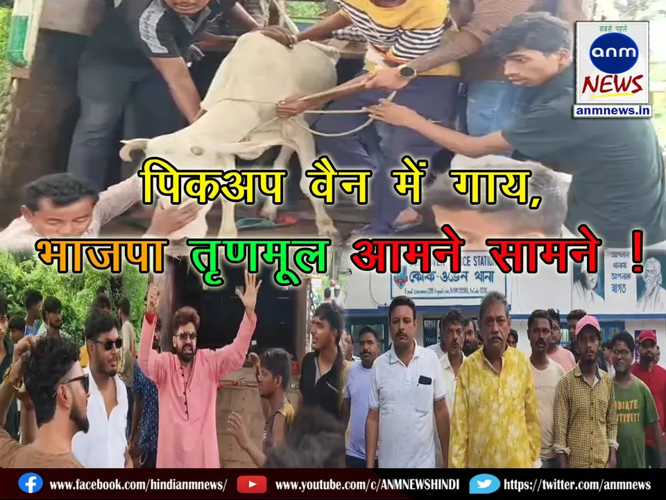 Cow in pickup van and BJP vs Trinamool