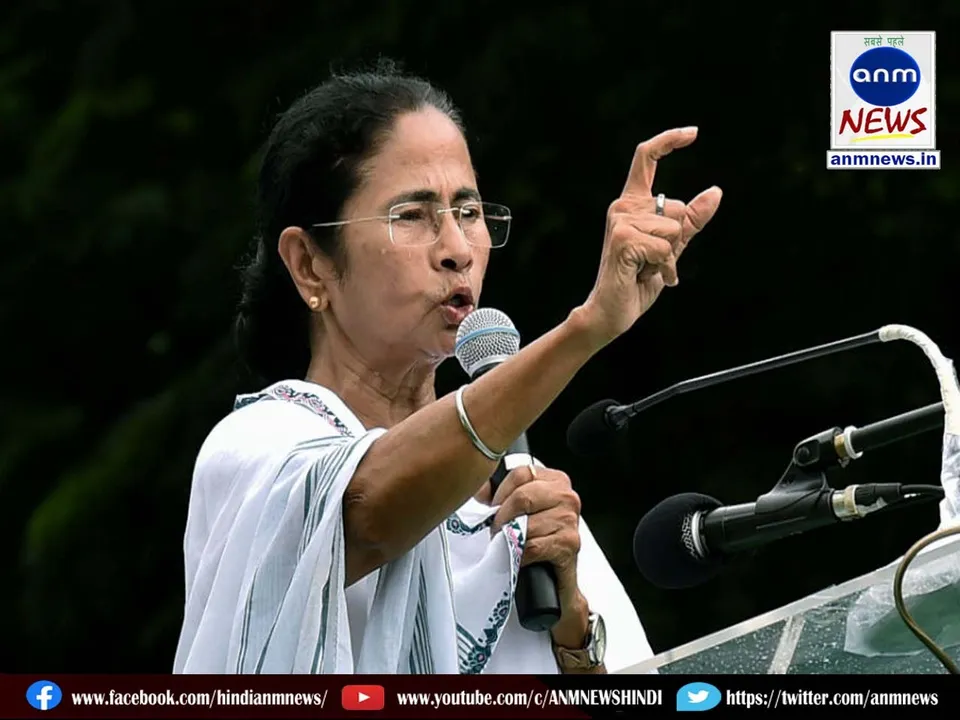 cm mamta