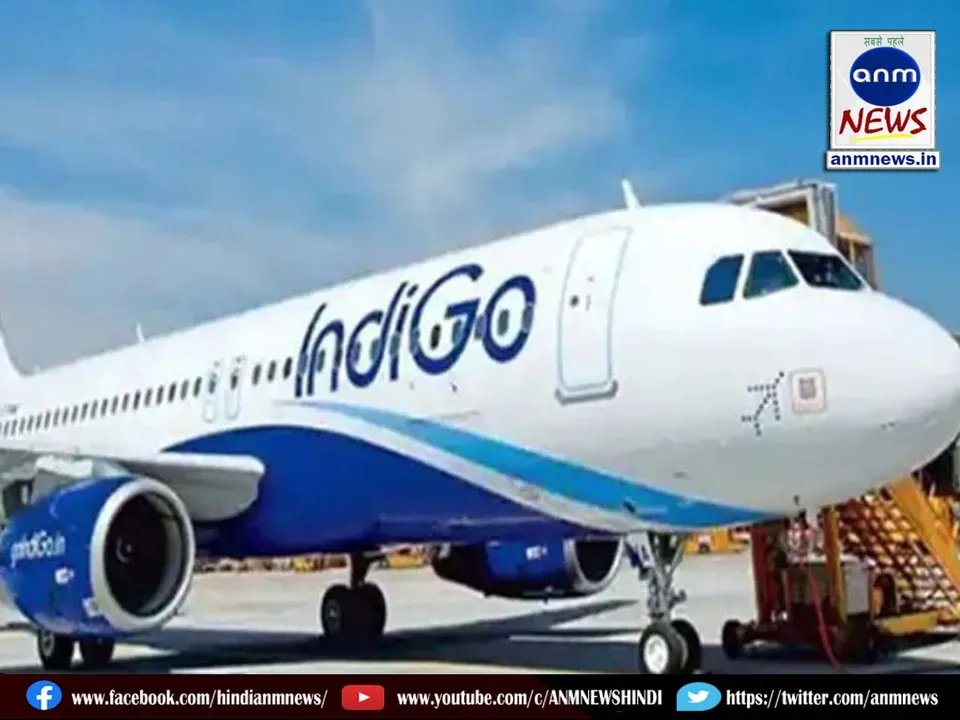 Indigo airline