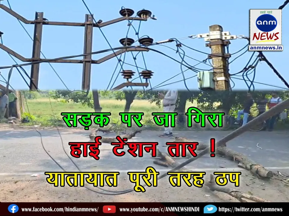 WhatsApp Image 2025-10-10 at 17.24.28