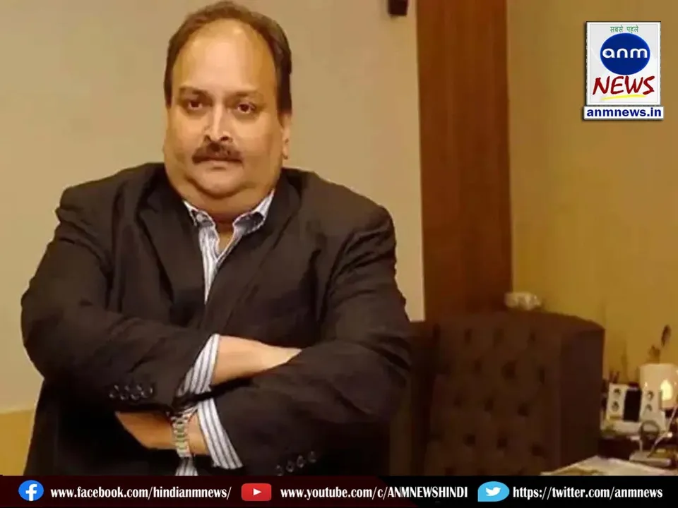 Punjab National Bank Fraud