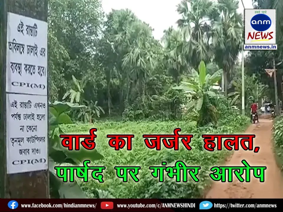 Serious allegations against councillor