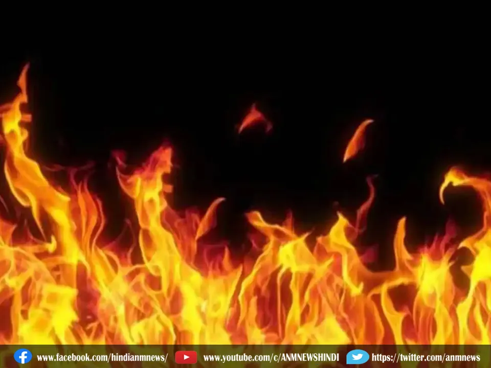 fire wood