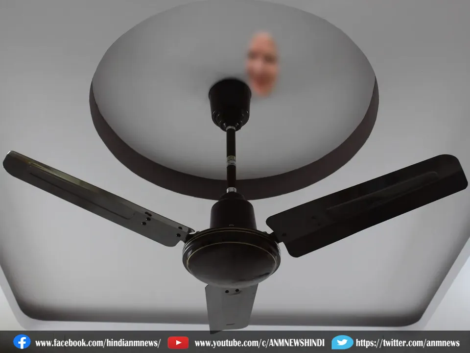 fan