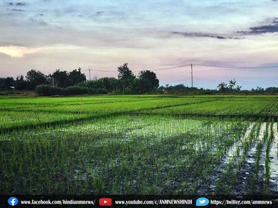 Bengal government