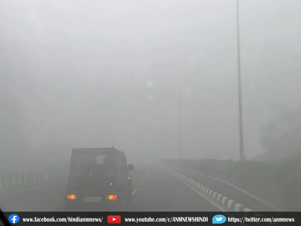 fog