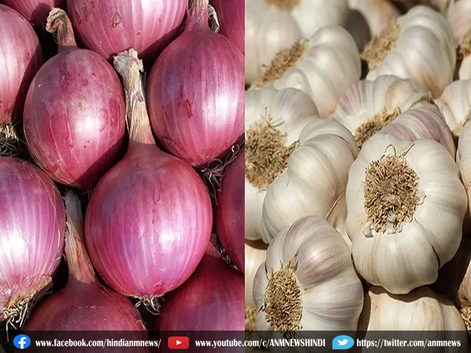 onion garlic