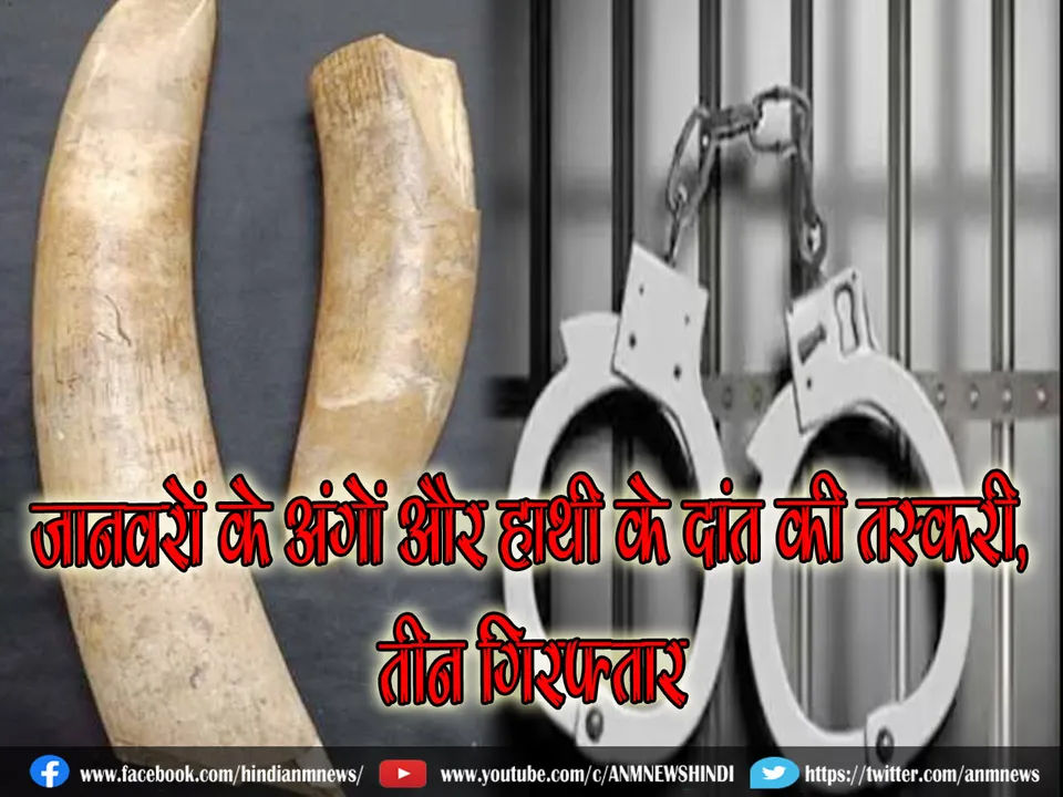 hathi daat