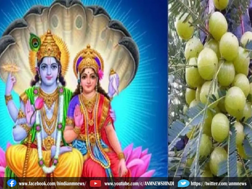 amla navami