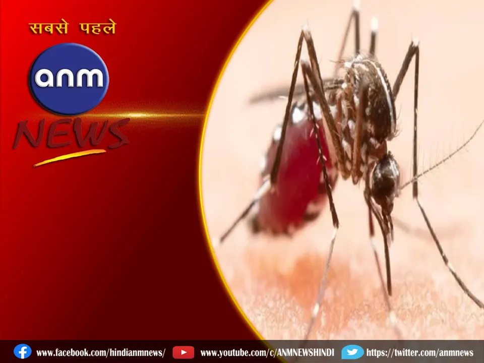 malaria