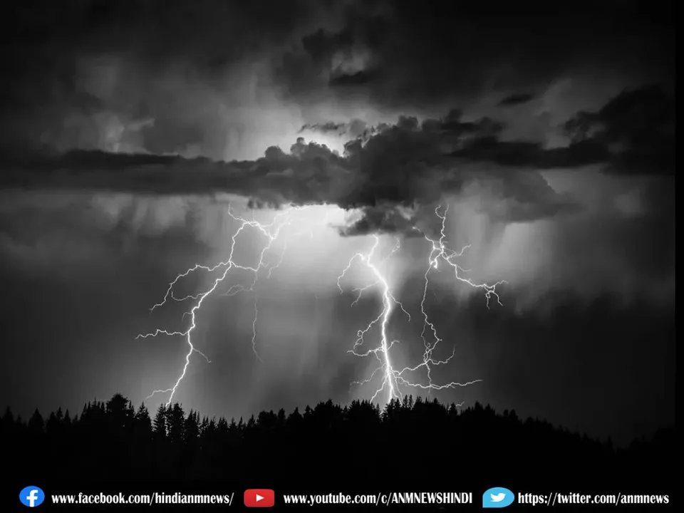 rainn