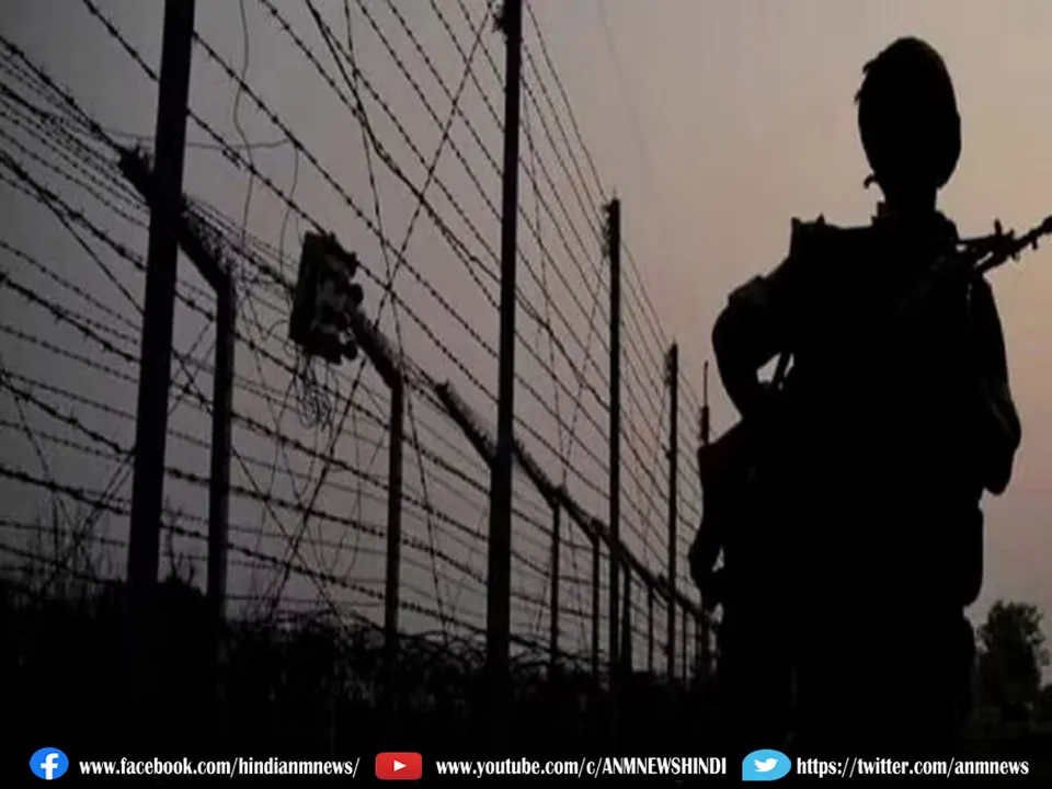  boarder