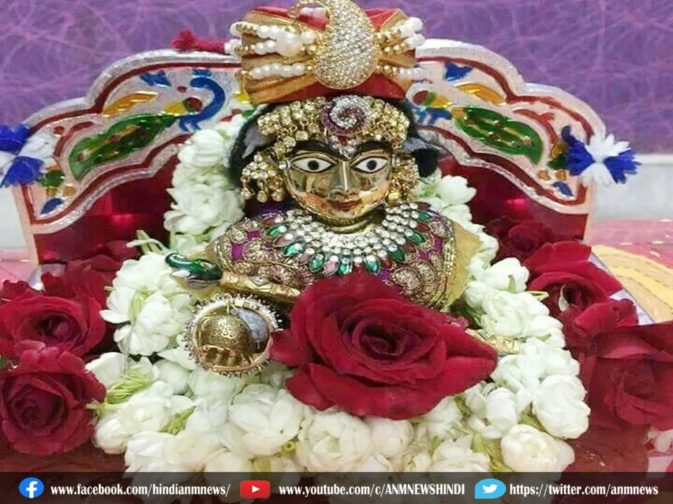 laddu gopal Red rose
