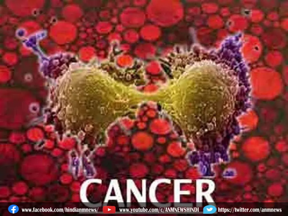 tumor cells
