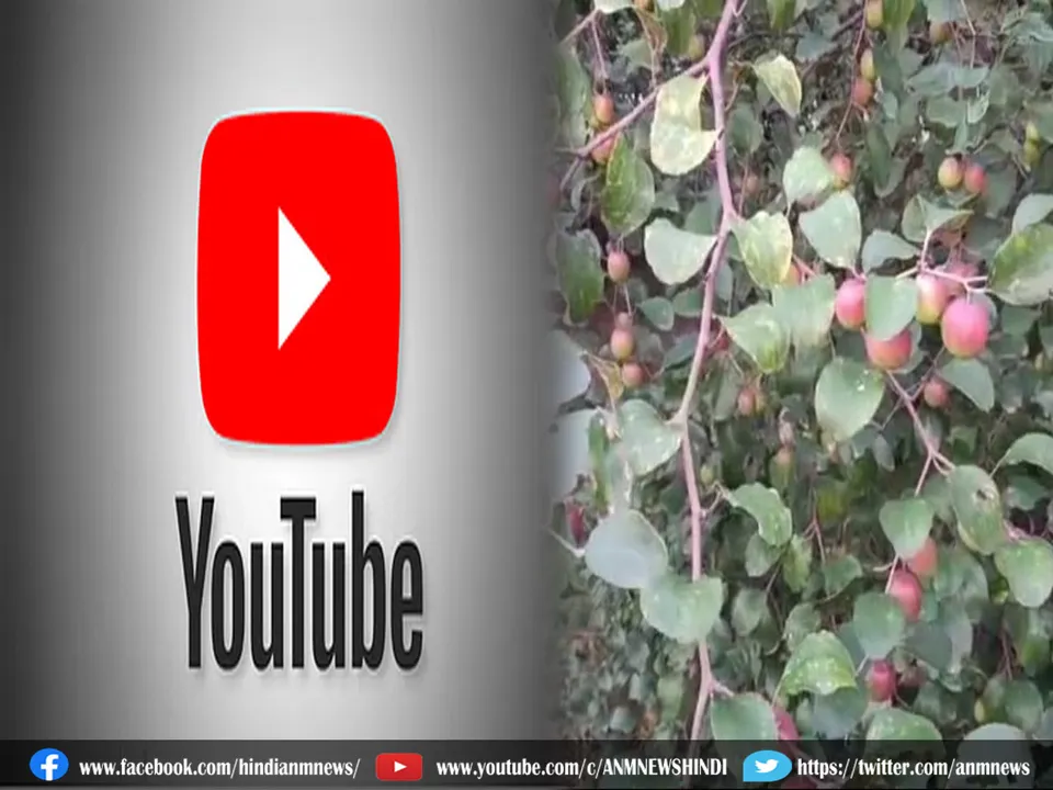 idea from YouTube