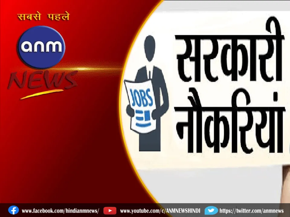 govt job