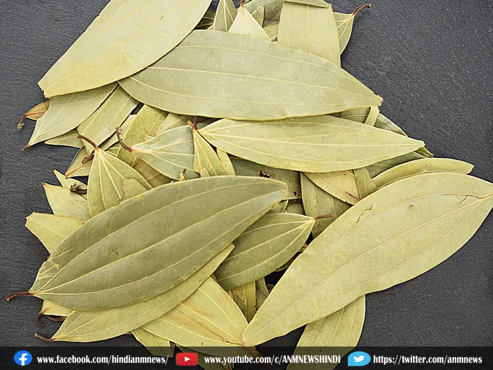 bay leaves
