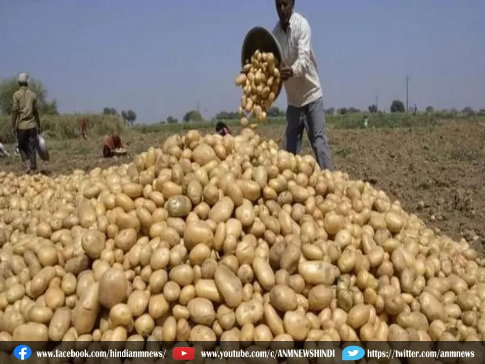 potatoes