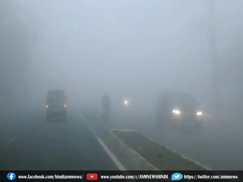 fog