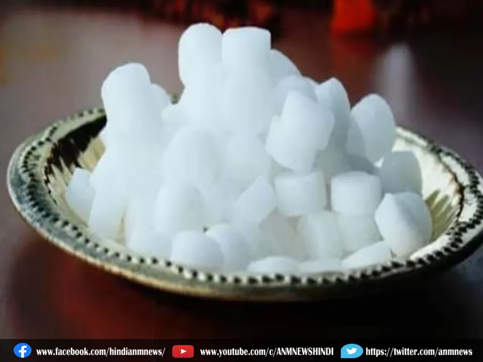 camphor importance.
