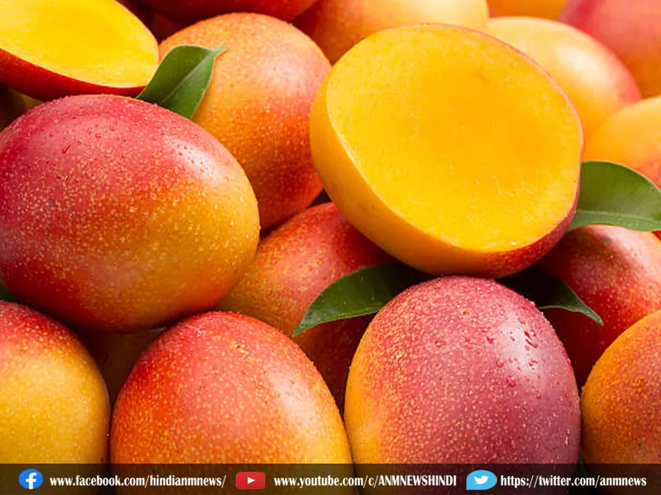 mango skin.