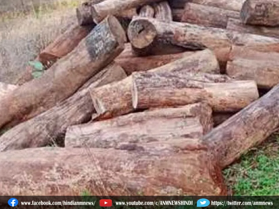 wood
