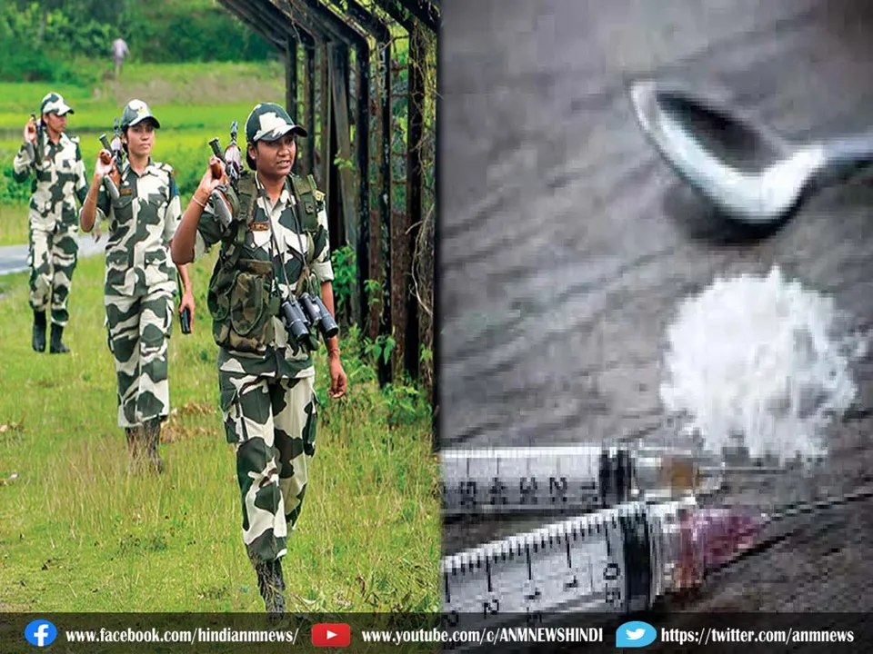 BSF seized