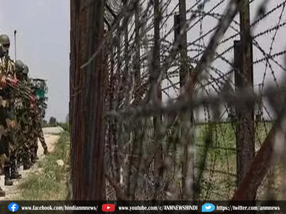 bsf bangladeshi