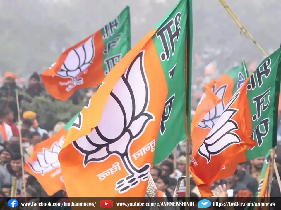2 bjp