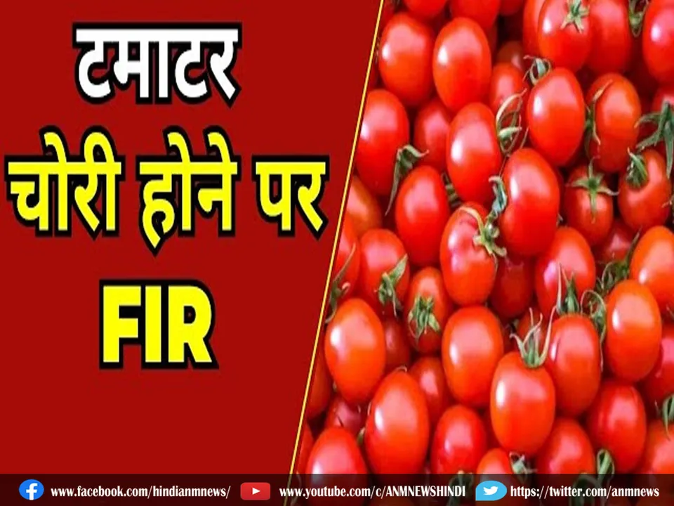 21 lakh tomatoes