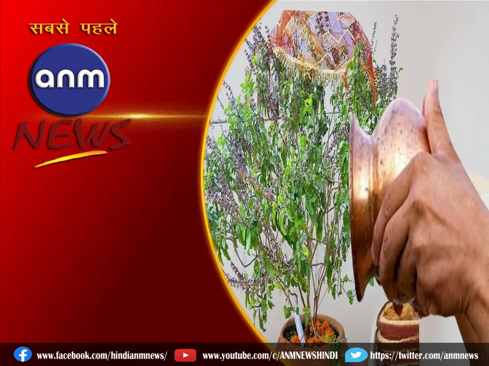 tulsi na kare