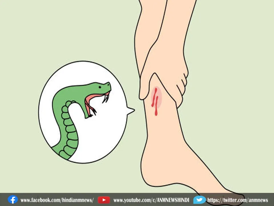 snake32