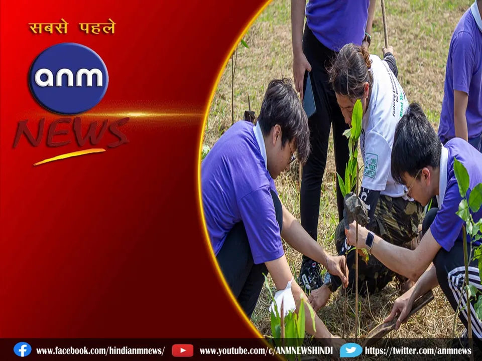tree planting