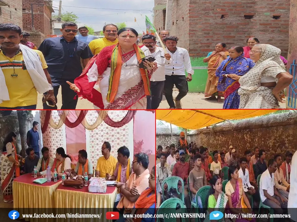 started election campaign