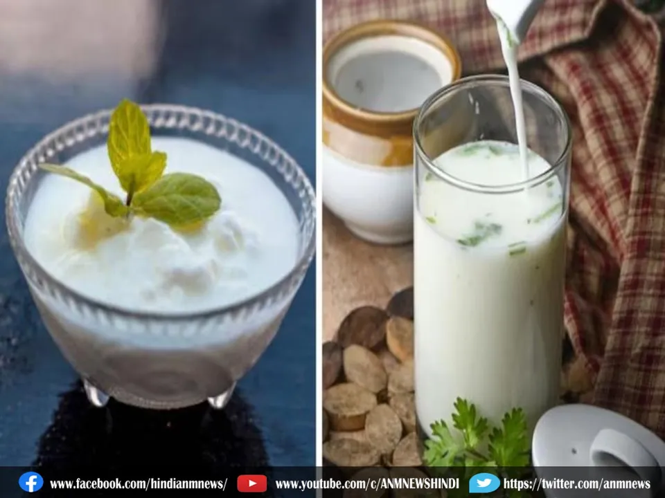 curd, buttermilk