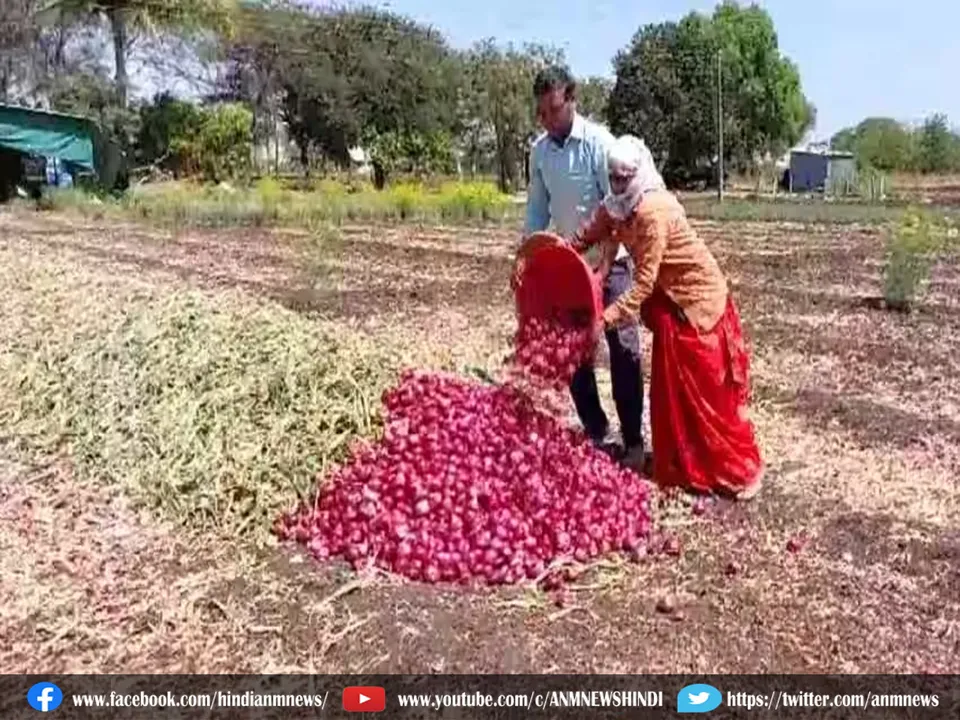 onion farmers