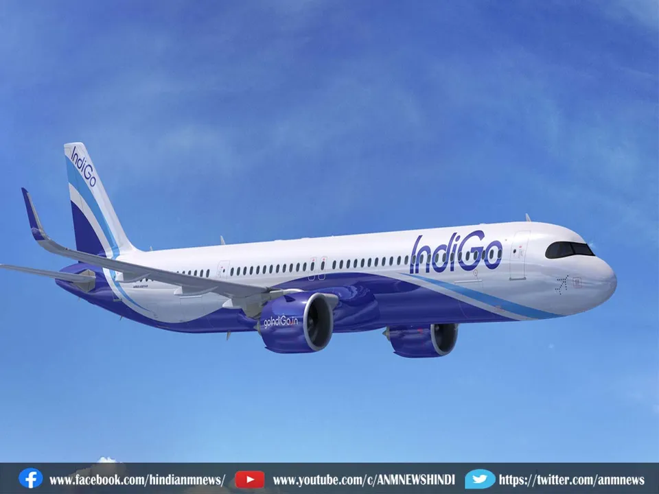 indigo
