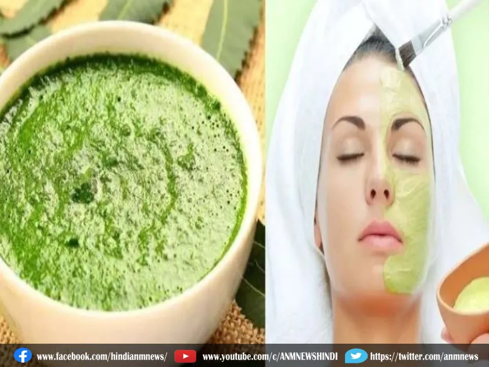 neem leaf