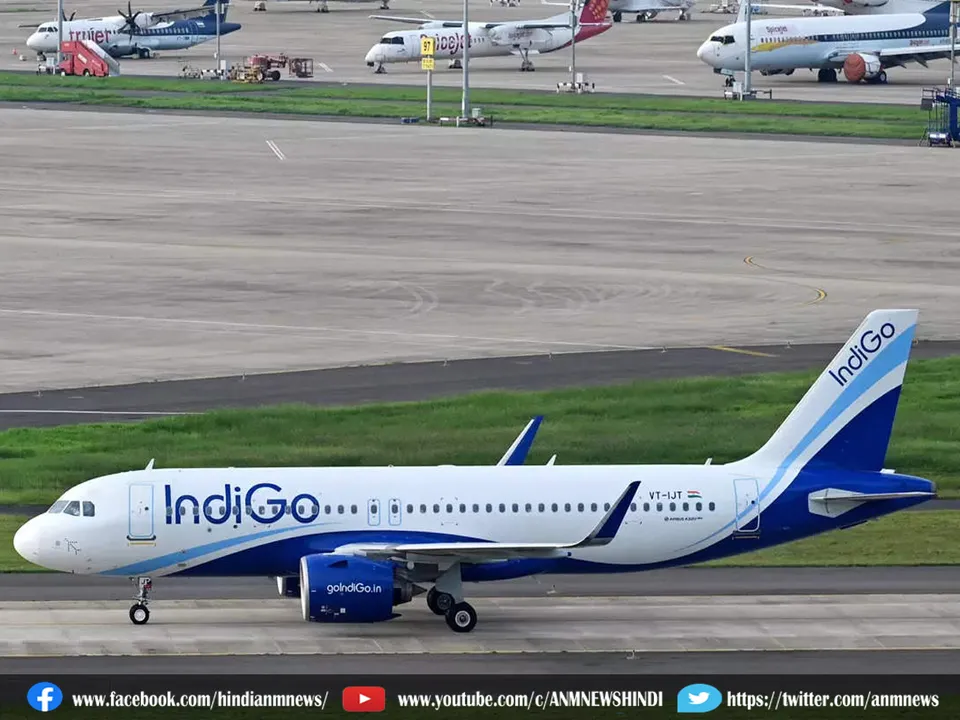 indigo flight