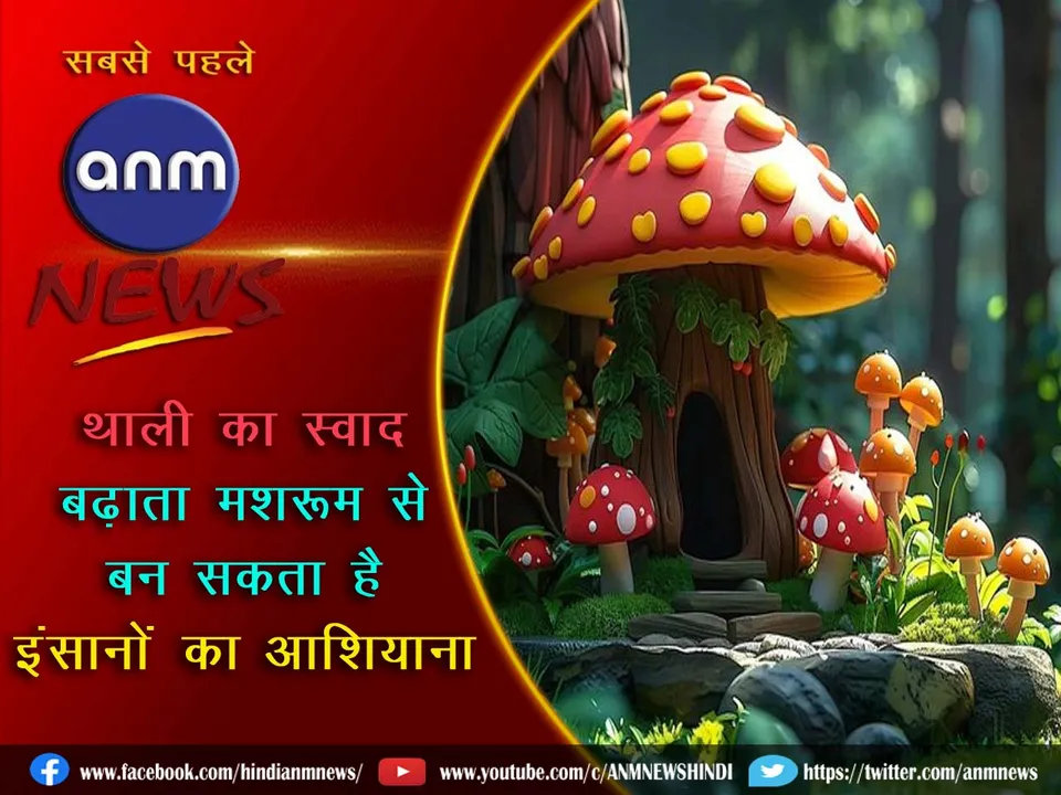16 mashroom