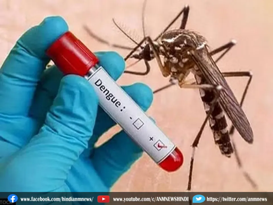 dengue