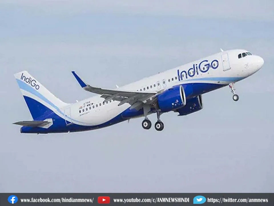 IndiGo airline