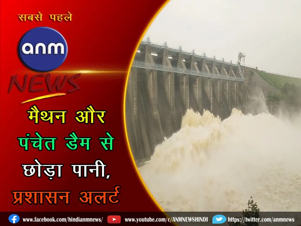 WhatsApp Image 2024-08-09 at 18.36.59