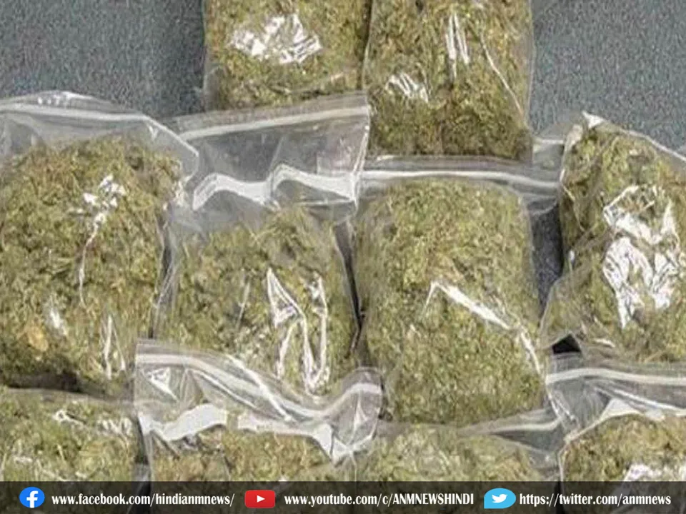 ganja arrested
