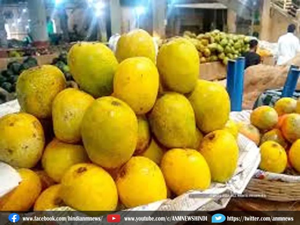 mango fruit