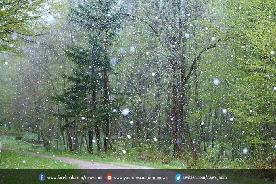 light rain or snow