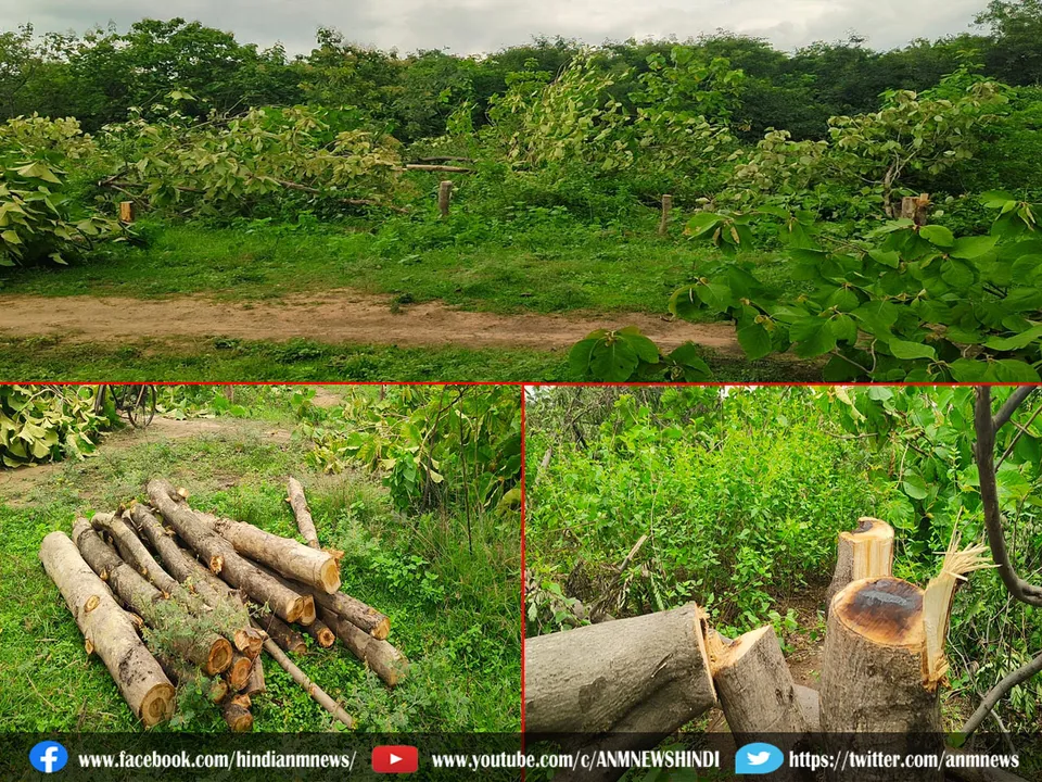 Forest Department
