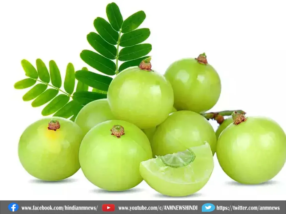 amla