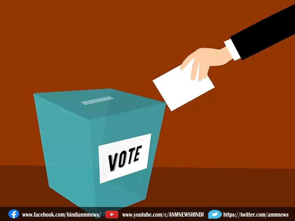 vote