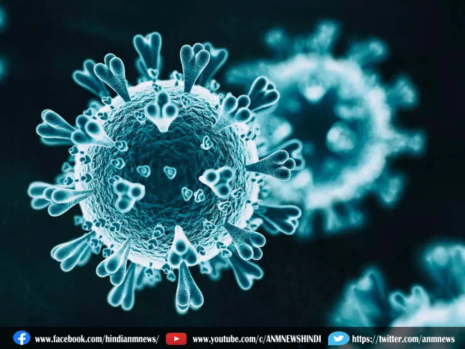 Mirusvirus